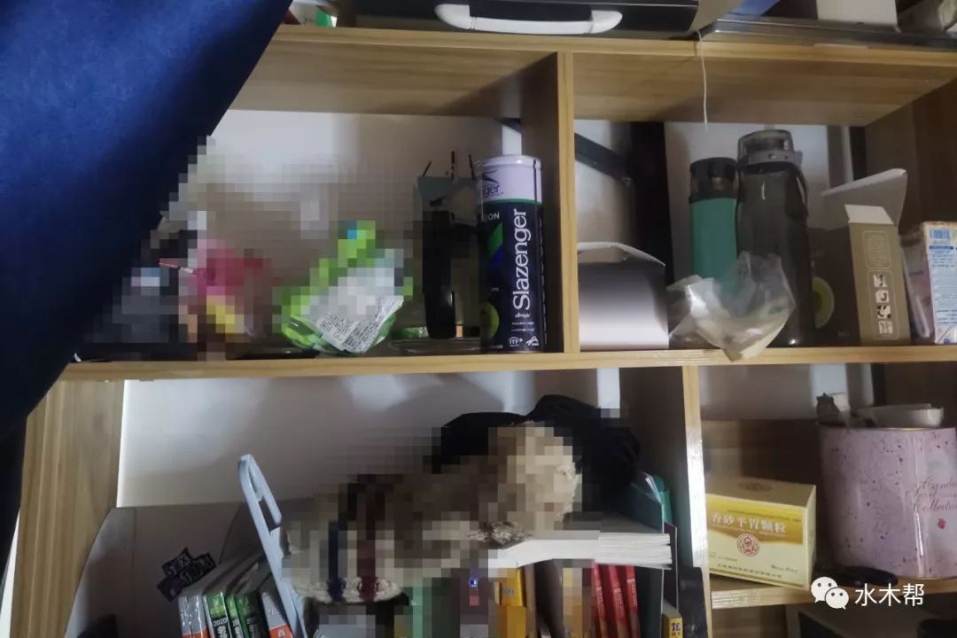 开封有没有一对一外教_开封外教英语_开封外国语学校好吗