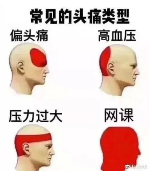 上网用英语_上网用英语的三种表达方式_上网英语咋写