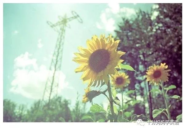钢琴外教一节课多少钱_钢琴外教一对一收费_钢琴收费外教多少钱