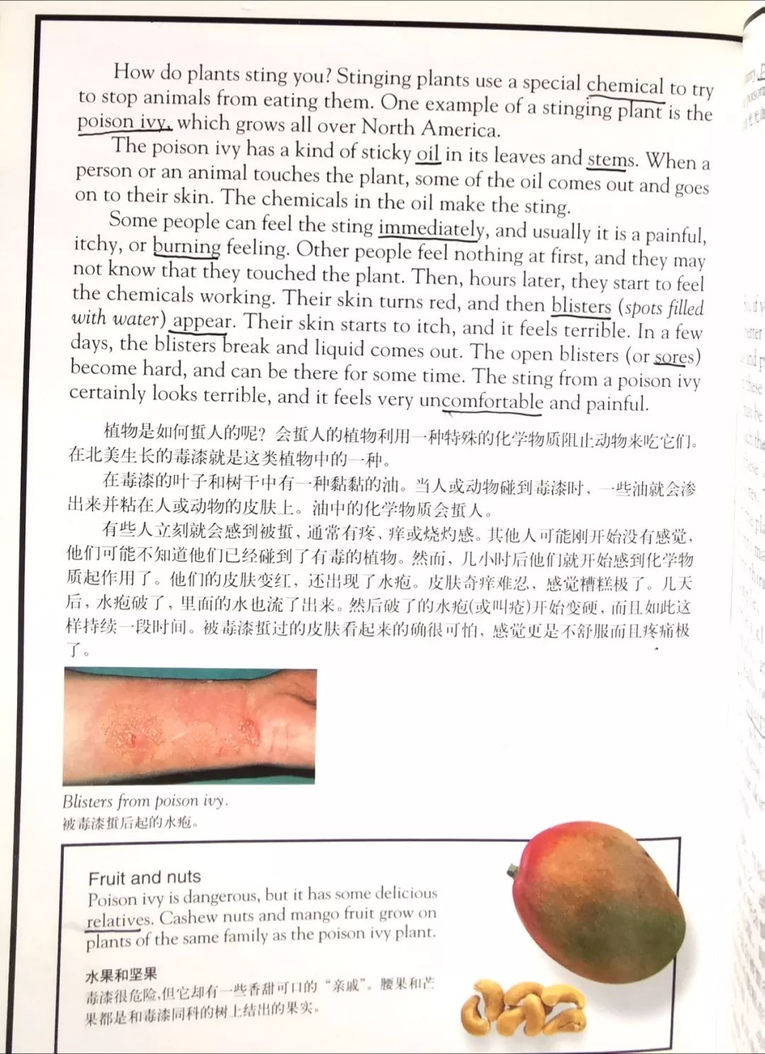 英语外教vi_英语外教英文怎么说_外教英语一对一怎么样
