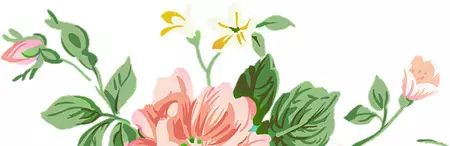外教一对一用平板吗_用平板学英语_平板能学英语教材吗