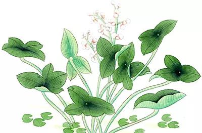 平板能学英语教材吗_外教一对一用平板吗_用平板学英语