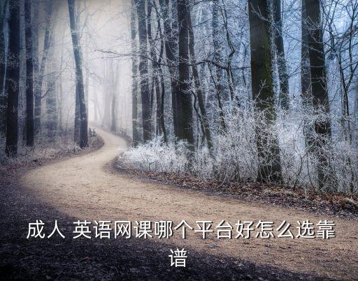 成人 英语网课哪个平台好怎么选靠谱