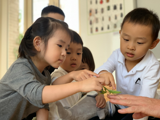 英语学习软件_到底怎么学英语_英语学习基础入门
