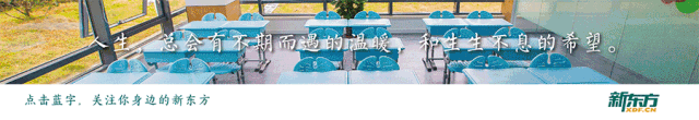外教课推荐_外教平台推荐_纯外教一对一推荐