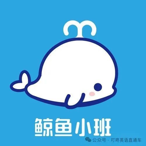 找一个英语的外教需要多少钱_找英语外教找_外教英语一对一怎么找