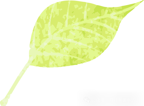 阿卡索外教网真的有效果吗_阿卡索外教网师资力量_阿卡索外教网在线试听