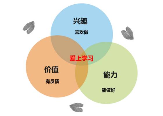童英语入门阿卡索很棒_阿卡索英语视频_阿卡索英语怎么样