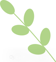 阿卡索外教网有成人_成人外教网有阿卡索课程吗_阿卡索外教网成人英语怎么样