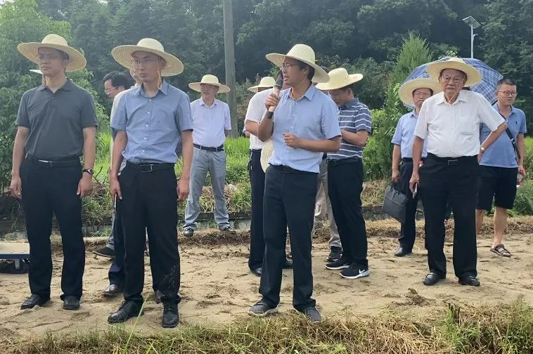 宿迁外国语学校聘老师_宿迁外语学校_一对一外教宿迁