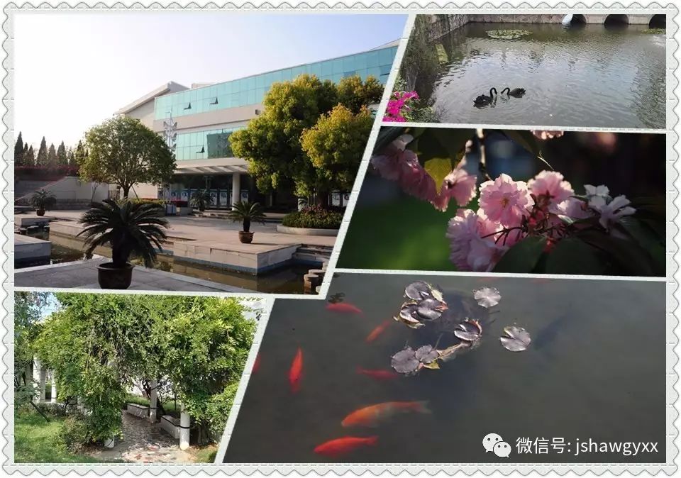 一对一外教宿迁_宿迁外语培训_宿迁外国语学校聘老师