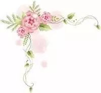 宿迁外语培训_一对一外教宿迁_宿迁外国语学校聘老师