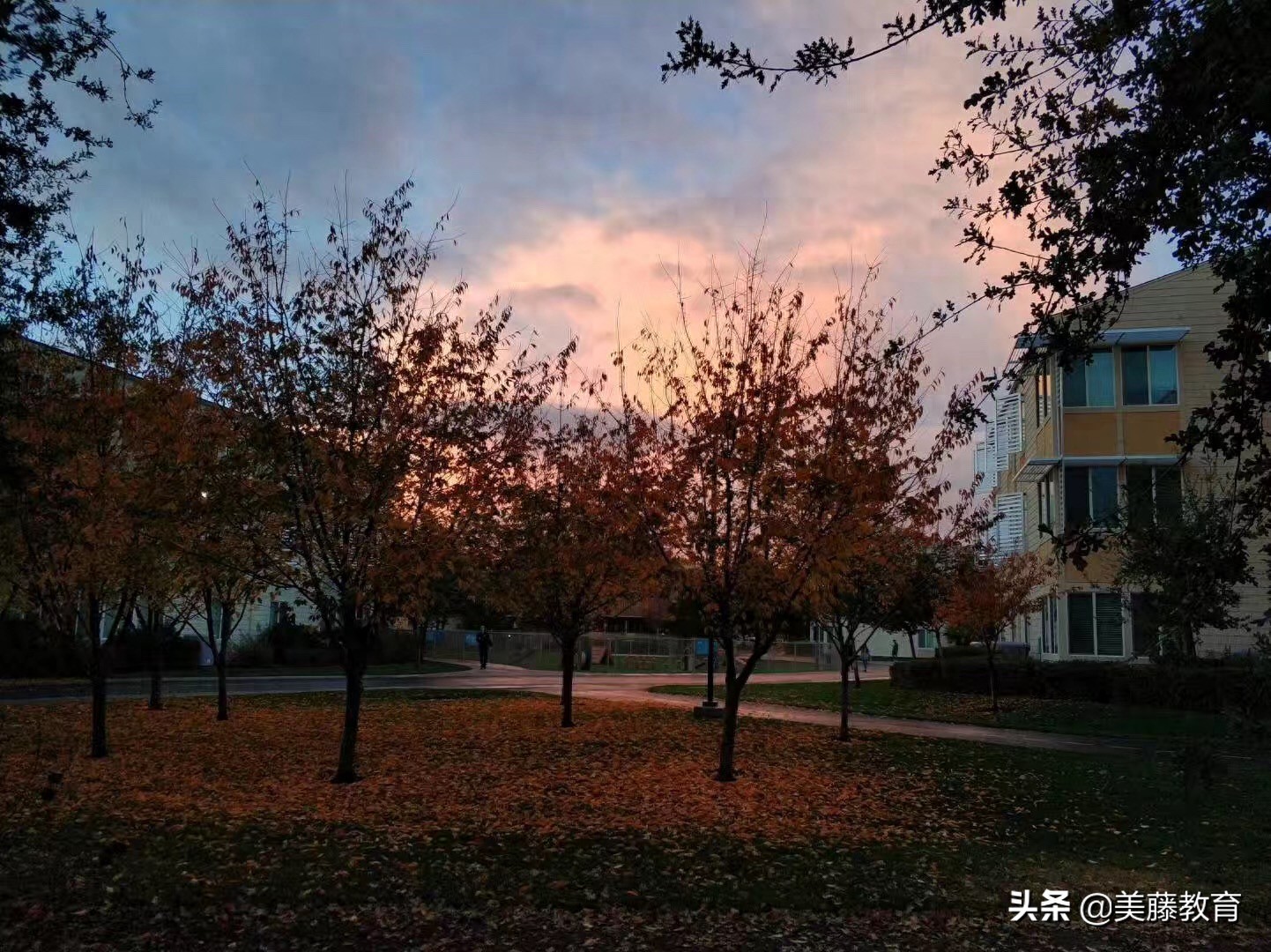 不会英语怎么办_办英语机构需要哪些证件_办英语证