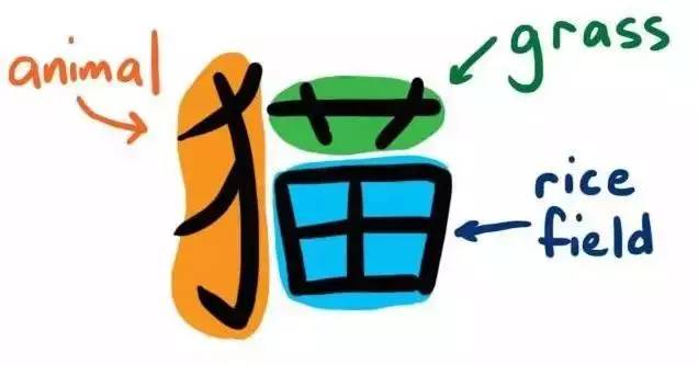 先学拼音还是先学英语_英语学拼音教学视频全集_学拼音英语怎么说