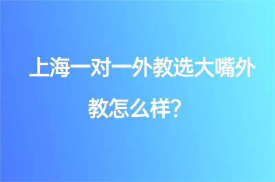 上海一对一外教选大嘴外教怎么样？