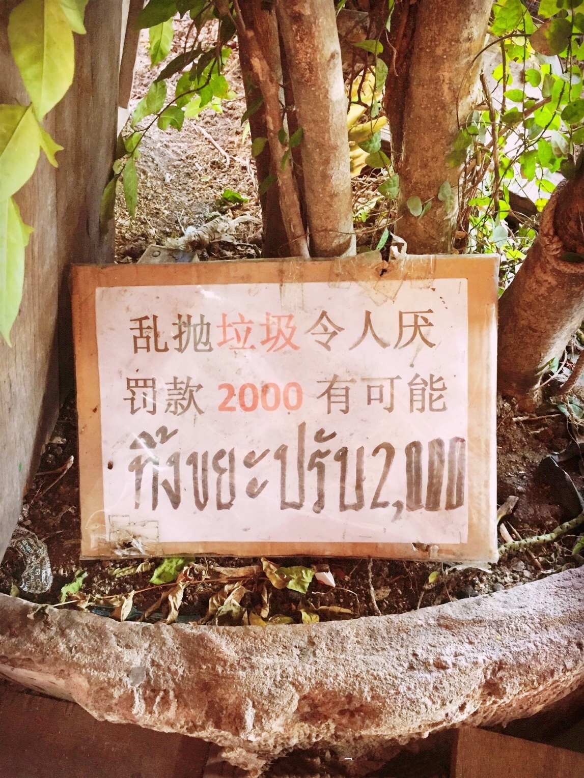 学英语的口号_国外旅游中文标语_中国游客海外影响力