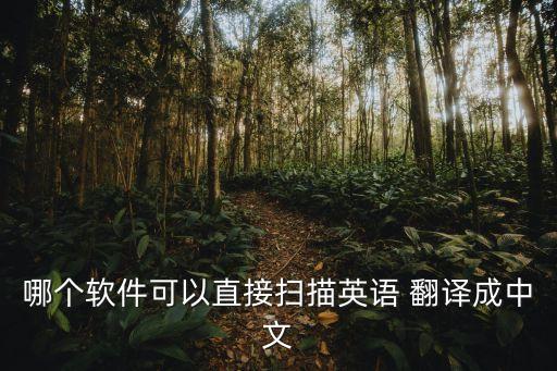 哪个软件可以直接扫描英语 成中文