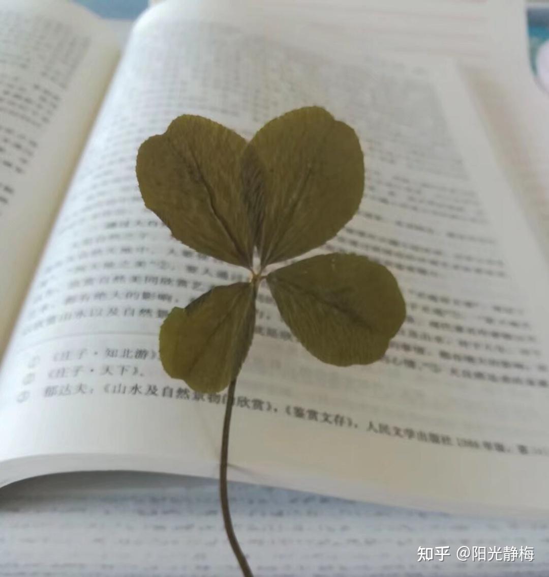 教育机构外教一对一辅导怎么收费_教育学考研333参考书目_333教育综合统考备考攻略