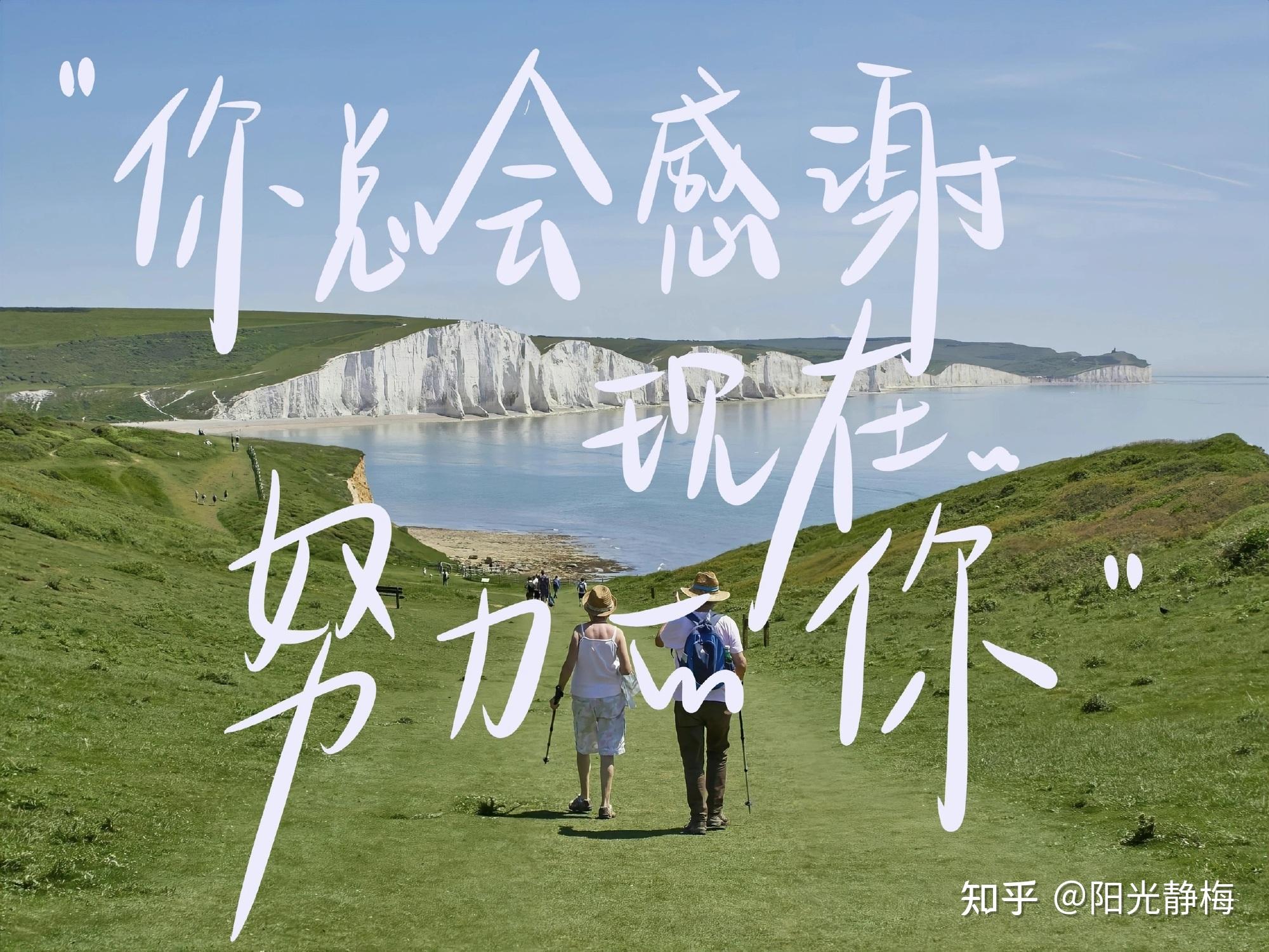 333教育综合统考备考攻略_教育机构外教一对一辅导怎么收费_教育学考研333参考书目