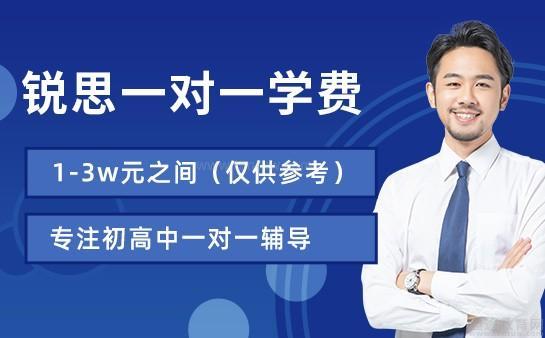 天津英语外教一对一多少钱一小时_天津锐思教育课程种类_天津锐思教育一对一辅导价格