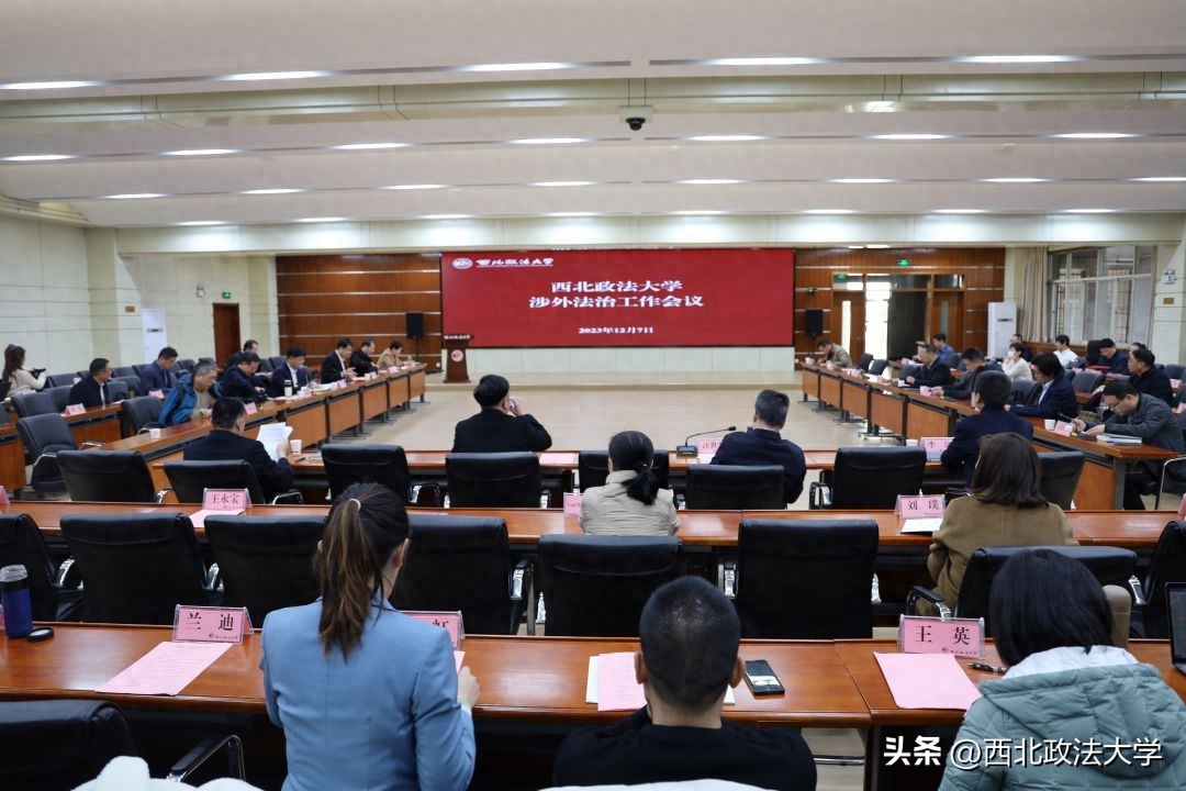 涉外教务处_****关于涉外法制建设的重要讲话解读_涉外法治作会议