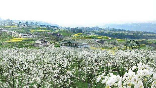 广元市概况_广元外教华山_广元市历史沿革