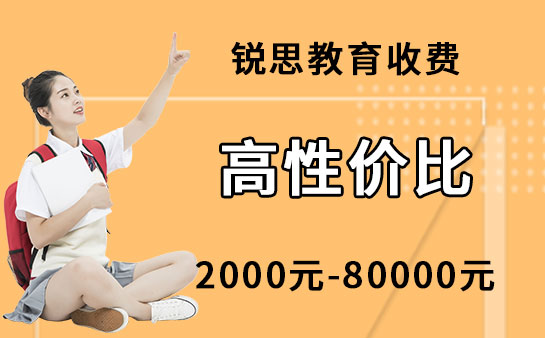 锐思教育一对一